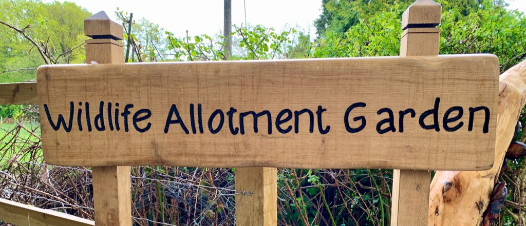 Wooden sign saying "Wildlife Allotment Garden"